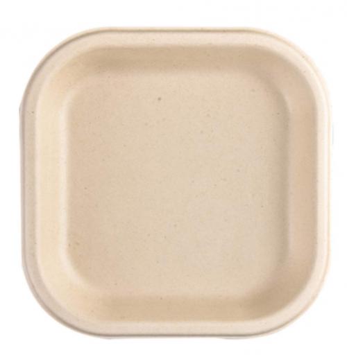 Chuk 10 inch Plate, Pack of 1